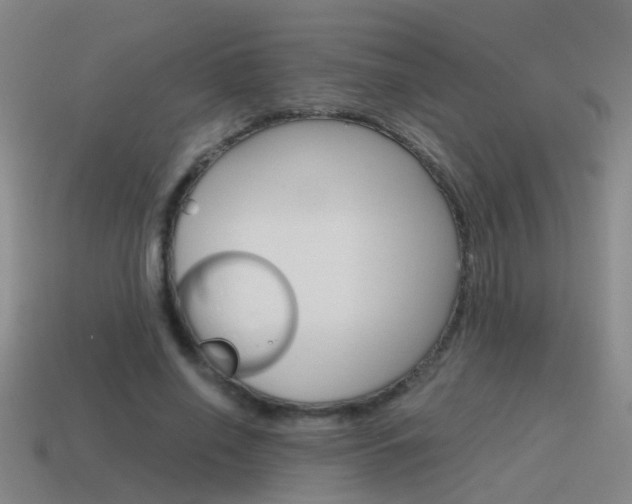 X0000115640638200911101057