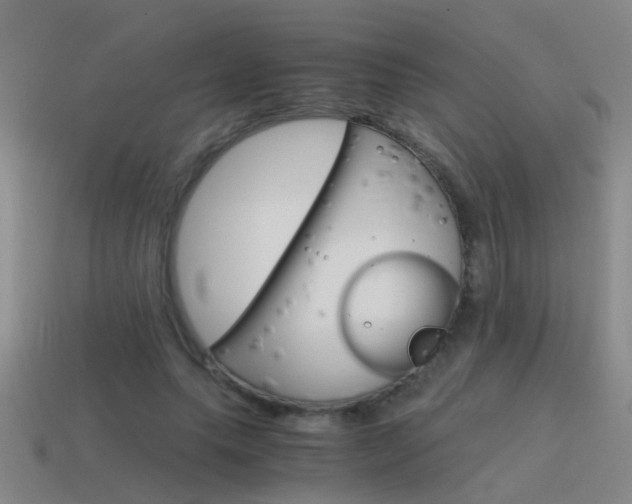 X0000115640639200911101057