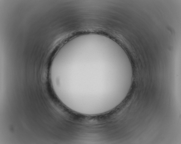 X0000115640640200911101057