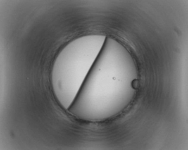 X0000115640641200911101057