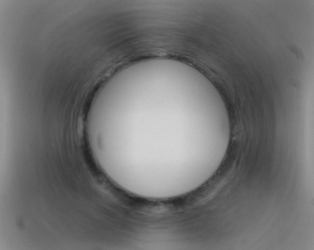 X0000115640646200911101057