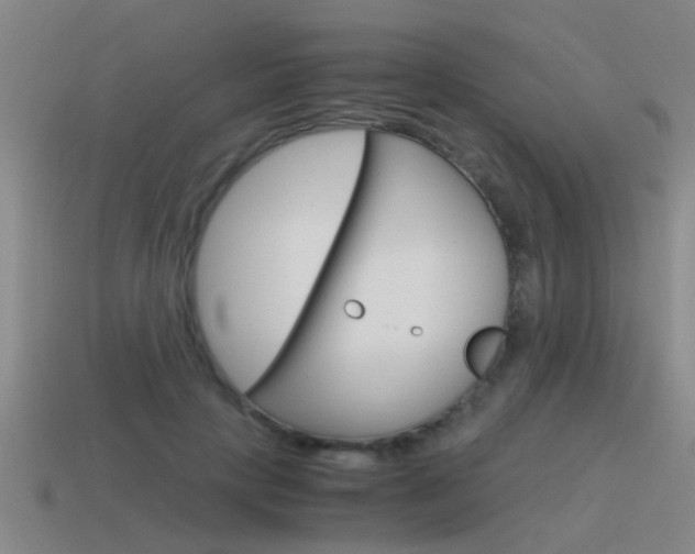 X0000115640649200911101057