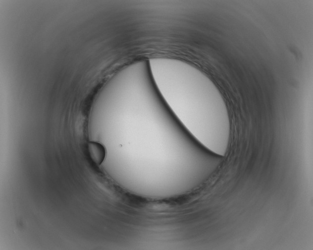 X0000115640650200911101057