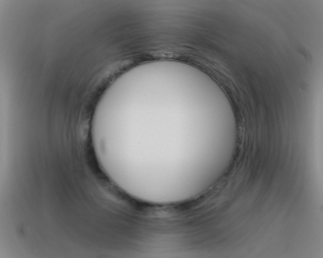X0000115640652200911101057