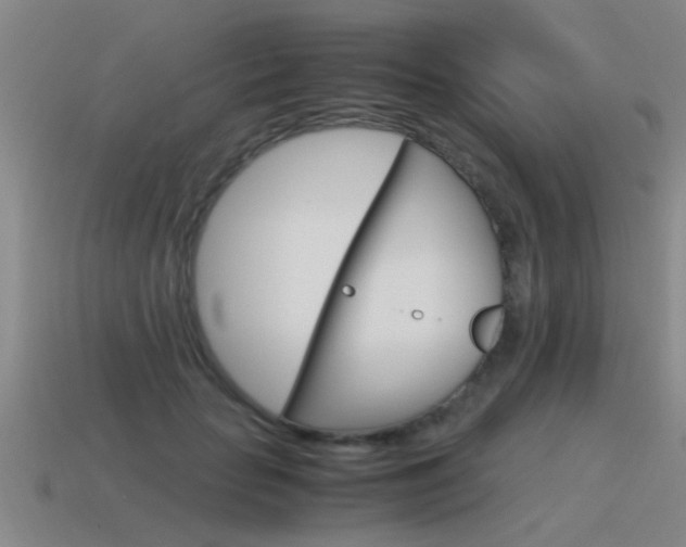 X0000115640653200911101057