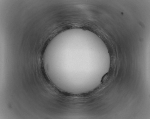 X0000115640655200911101057