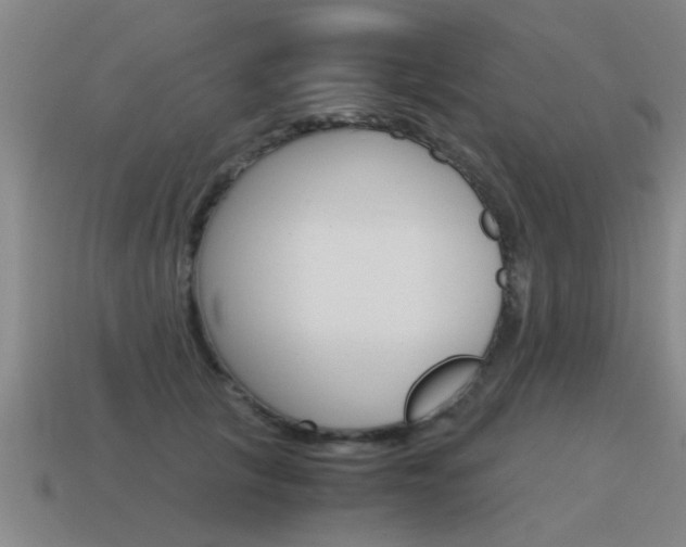X0000115640657200911101057