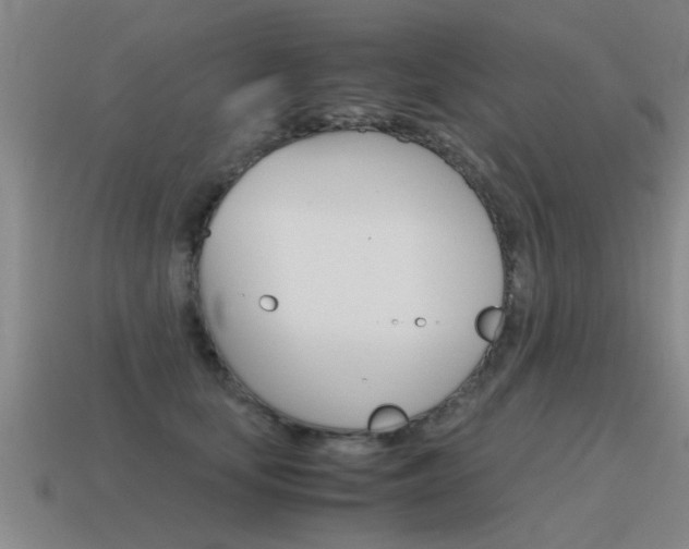 X0000115640659200911101057