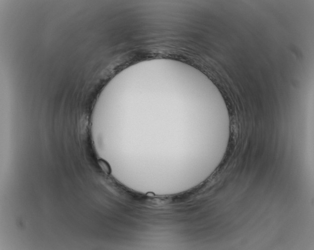X0000115640660200911101057