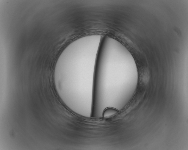 X0000115640661200911101057
