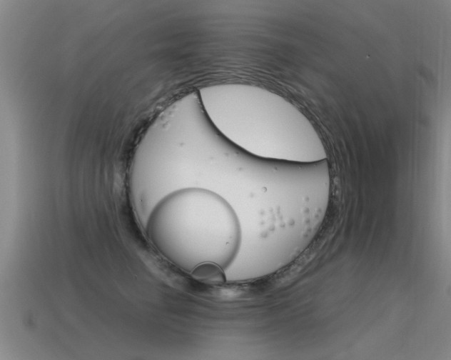 X0000115640662200911101057