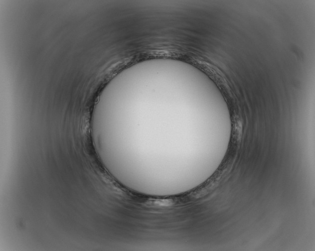 X0000115640665200911101057