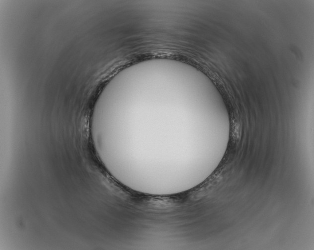 X0000115640666200911101057