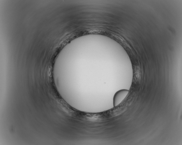 X0000115640667200911101057
