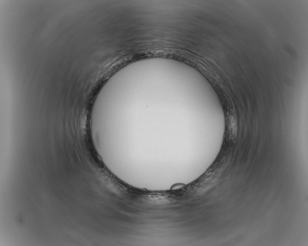 X0000115640668200911101057