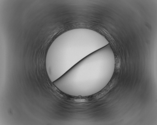 X0000115640669200911101057