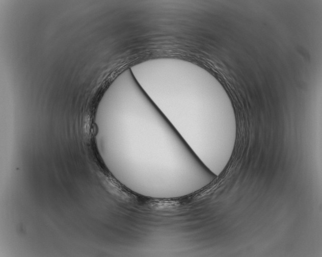 X0000115640670200911101057
