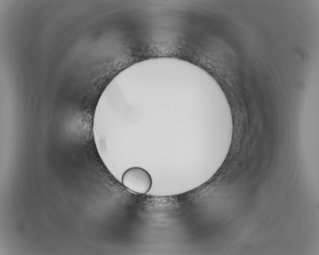 X0000115640672200911101057
