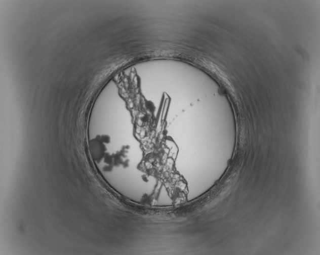 X0000115640673200911101056