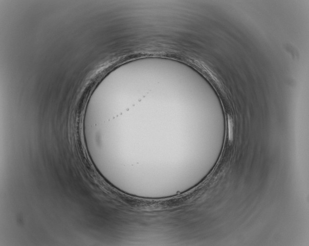 X0000115640675200911101056