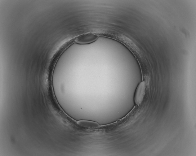 X0000115640676200911101056