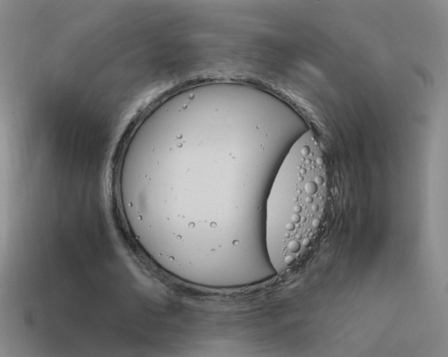 X0000115640678200911101056