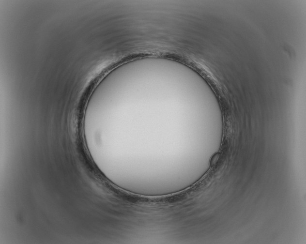 X0000115640679200911101056
