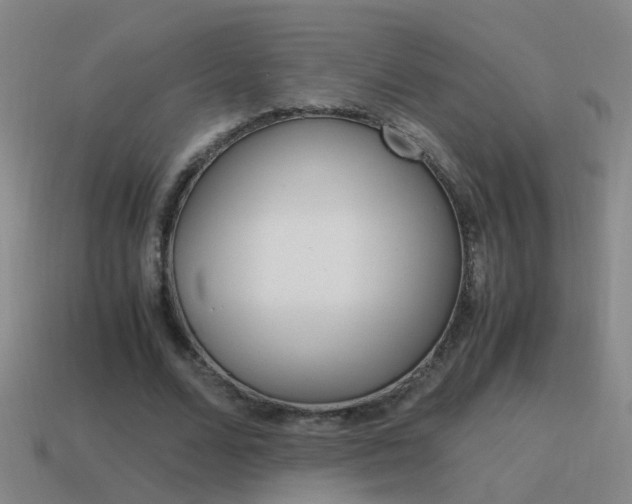X0000115640680200911101056