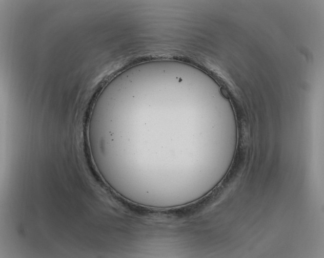 X0000115640681200911101056