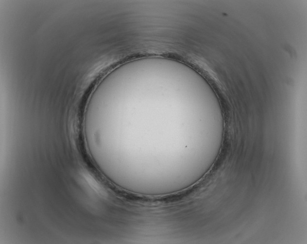 X0000115640683200911101056