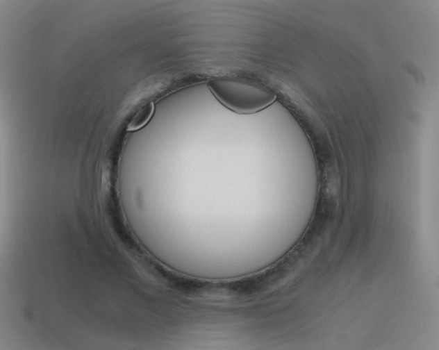 X0000115640685200911101056