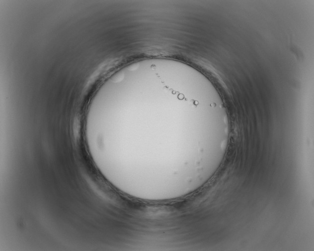 X0000115640686200911101056