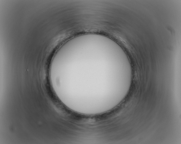 X0000115640687200911101056