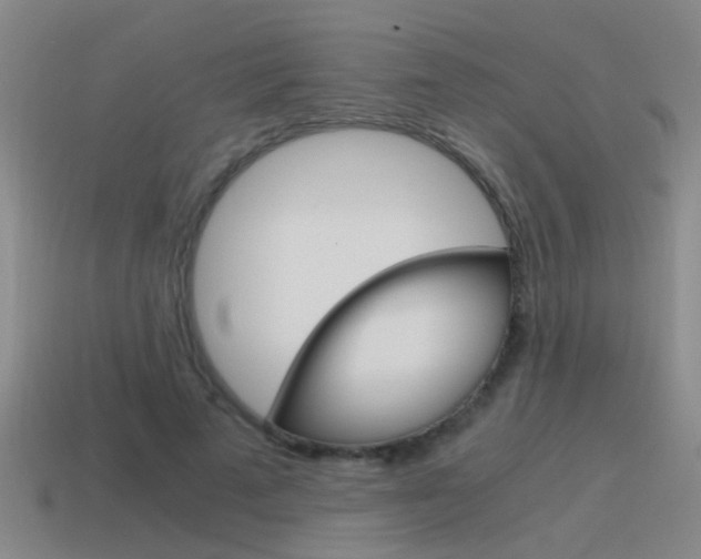 X0000115640689200911101056