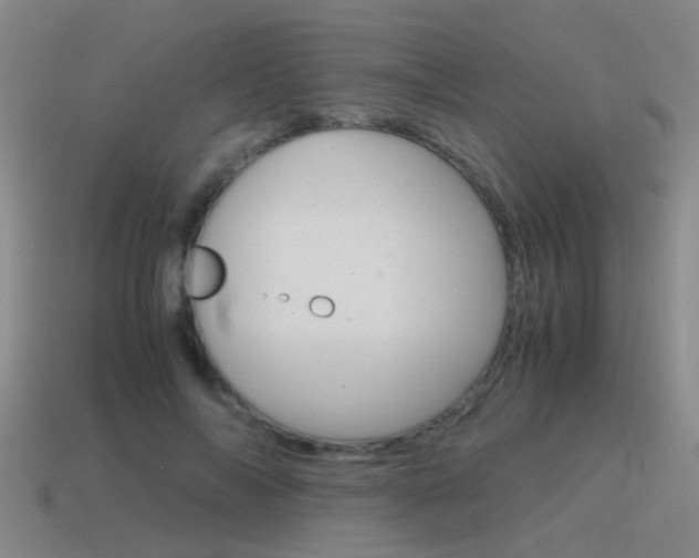 X0000115640694200911101056