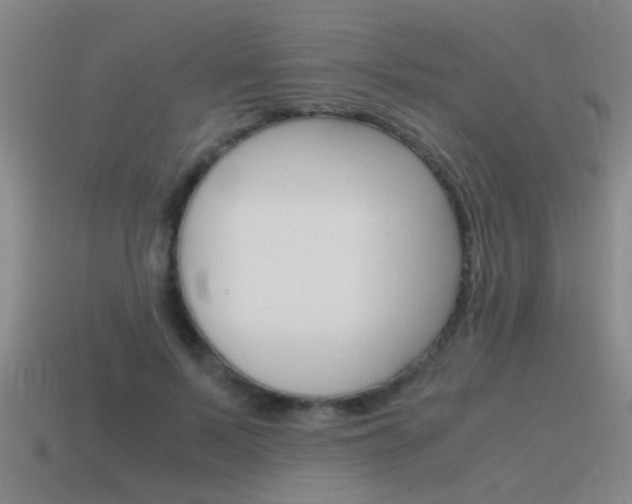 X0000115640695200911101056