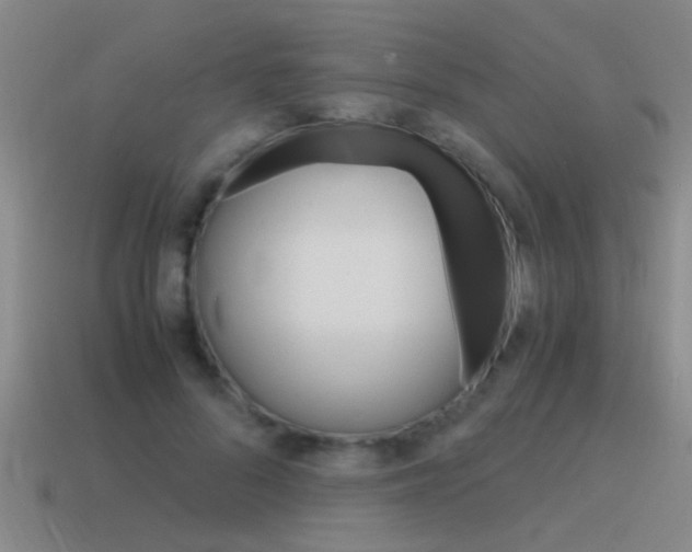 X0000115640696200911101056