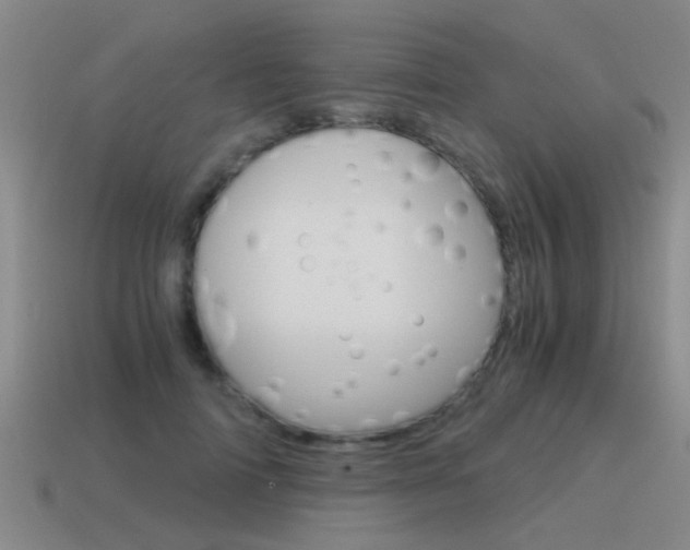 X0000115640698200911101056