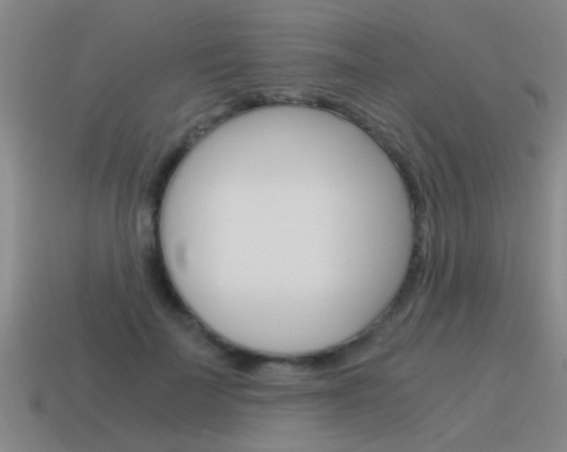 X0000115640699200911101056