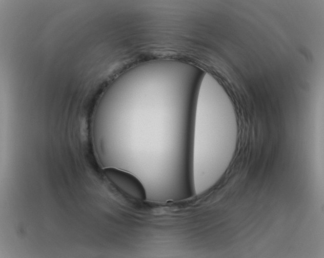 X0000115640700200911101056