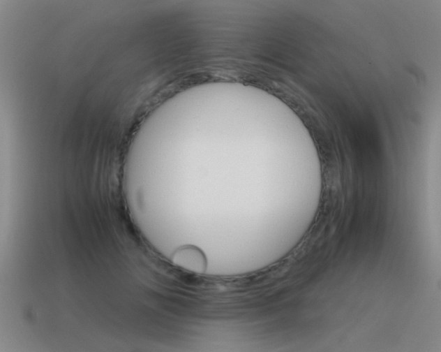 X0000115640702200911101056
