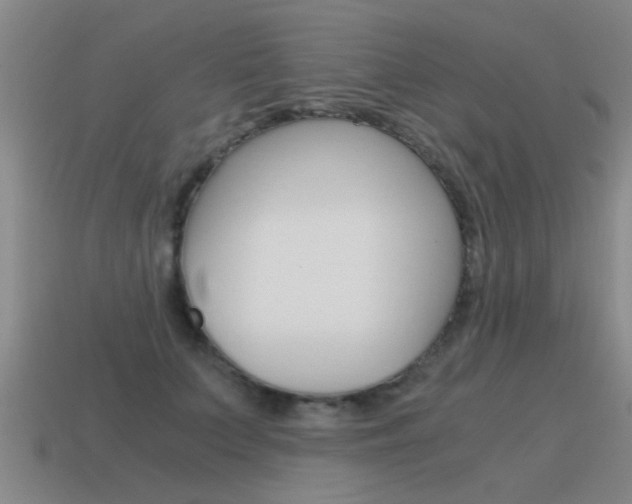 X0000115640703200911101056