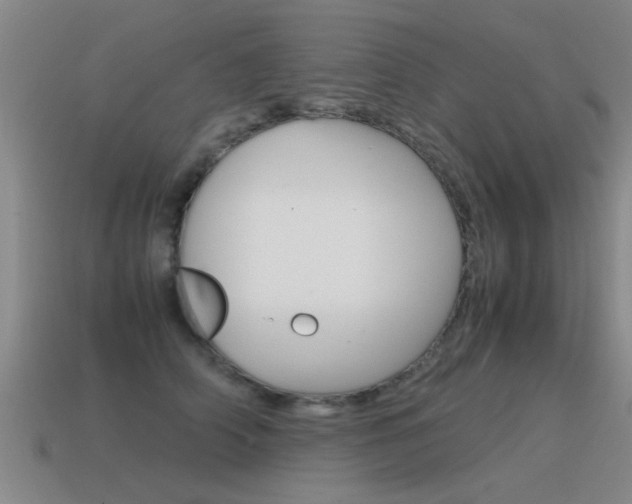 X0000115640706200911101056