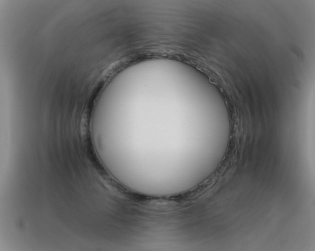 X0000115640708200911101056