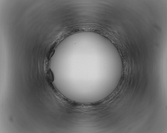 X0000115640712200911101056