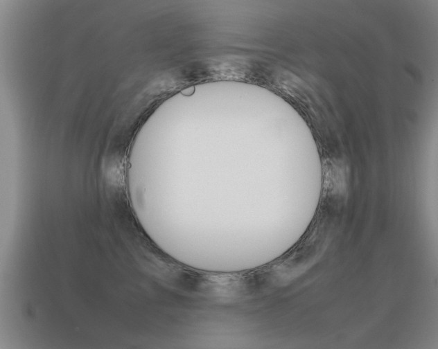 X0000115640713200911101056