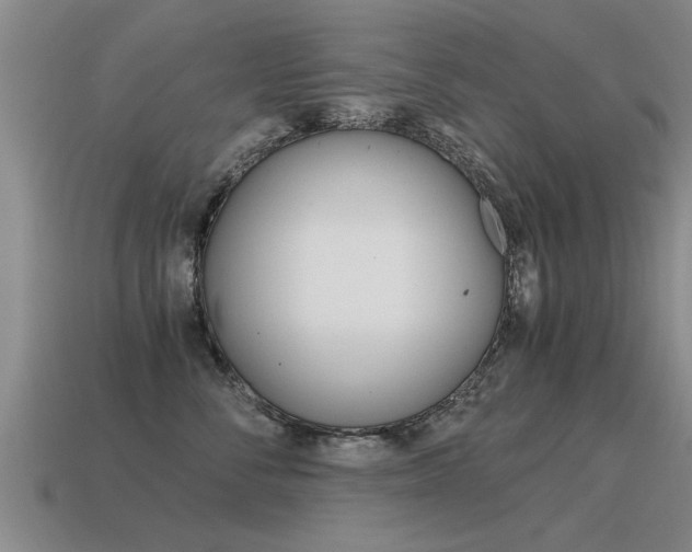 X0000115640716200911101056