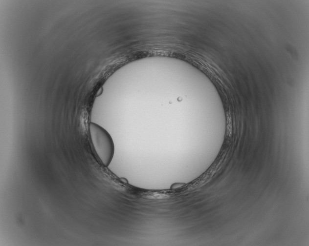 X0000115640718200911101056