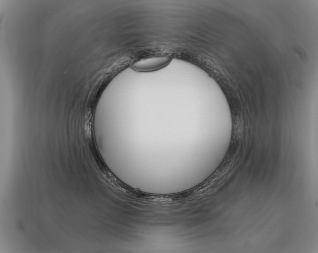 X0000115640719200911101056