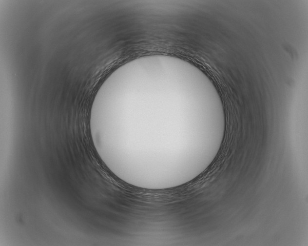 X0000115640720200911101056